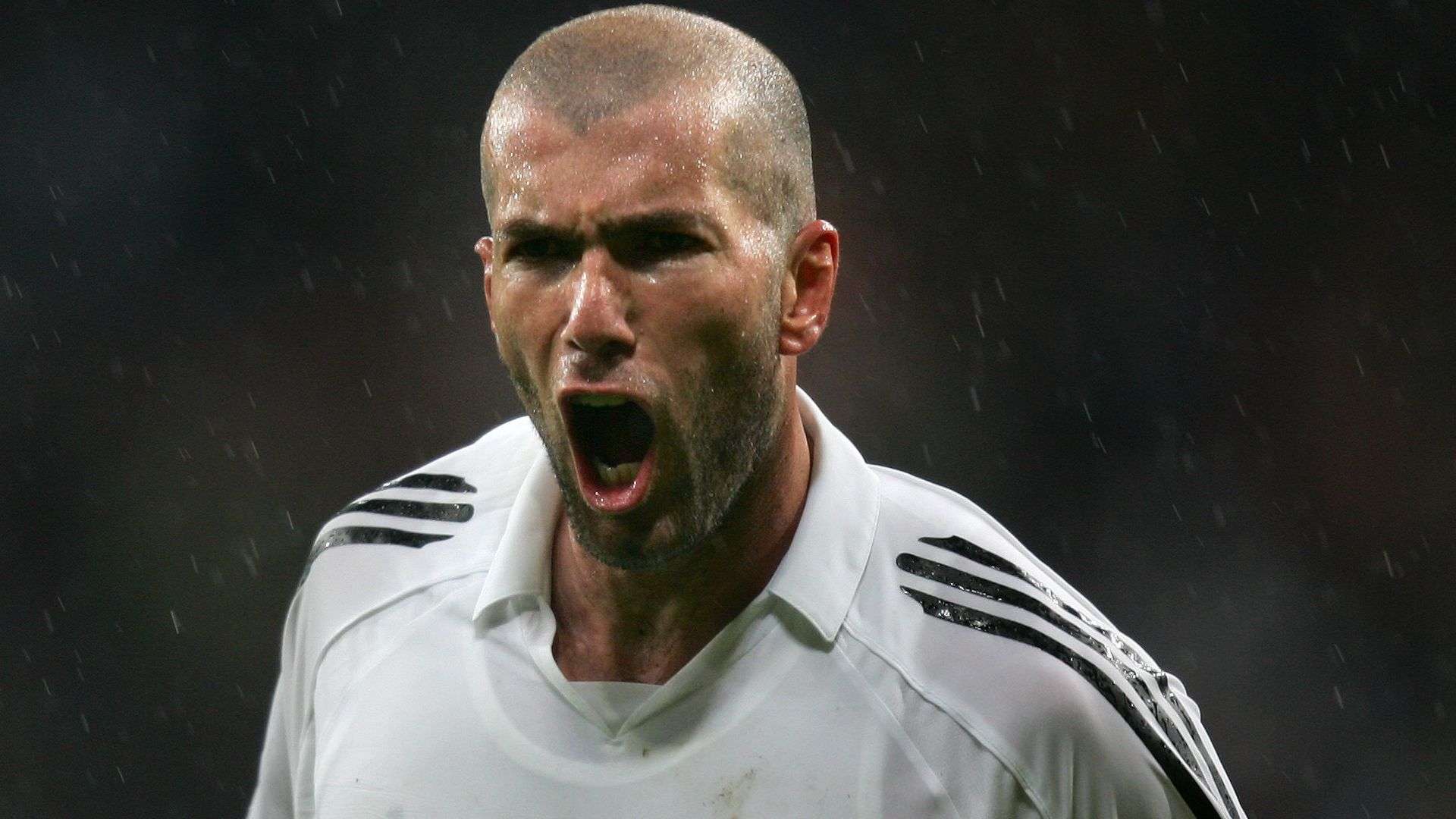 的重要支柱 的重要支柱