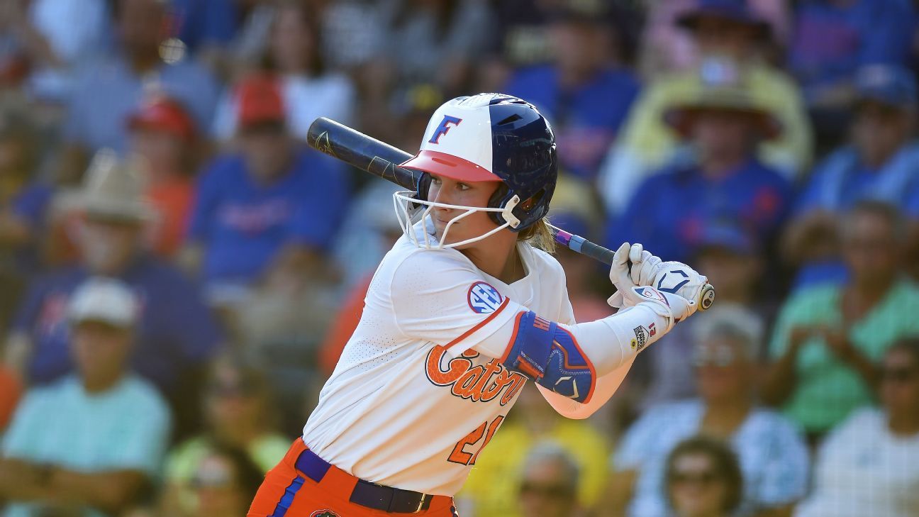 德里的守门 德里的守门